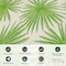 World Rug Gallery Floral Tropical Reversible Recycled Plastic 3' X 5' Green Outdoor Rug 6075GREEN3X5 - alternate 4